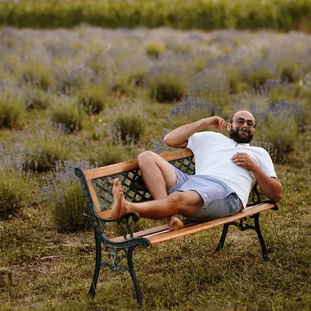 Bed & Breakfast Lavender Farm Zaric *