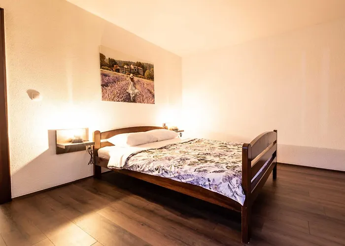 Lavender Farm Zaric Porosanica