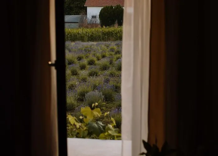 Bed & Breakfast Lavender Farm Zaric