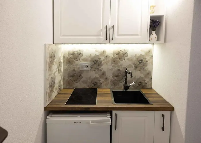 Bed & Breakfast Lavender Farm Zaric *