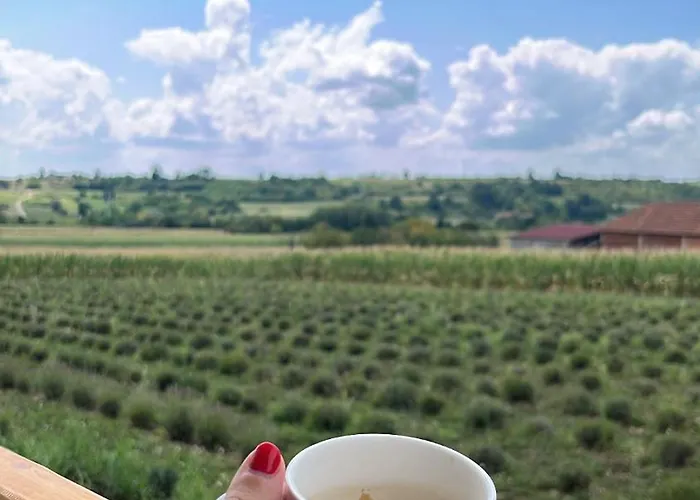 Bed & Breakfast Lavender Farm Zaric *