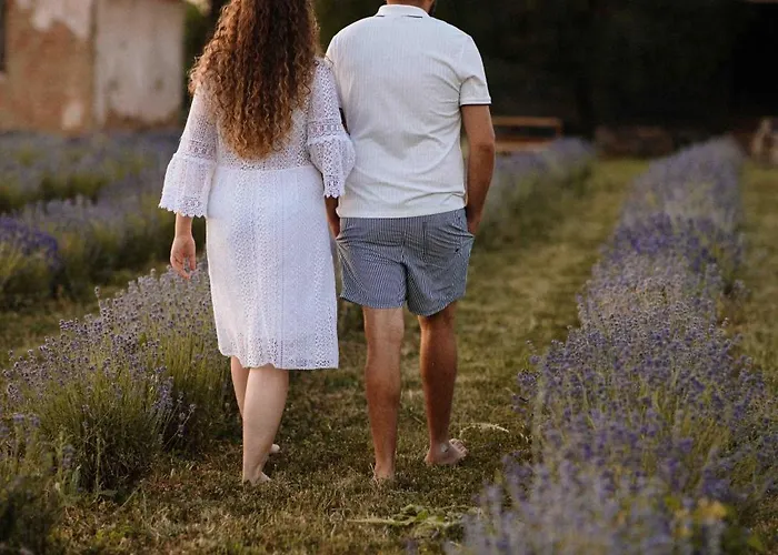 Lavender Farm Zaric *