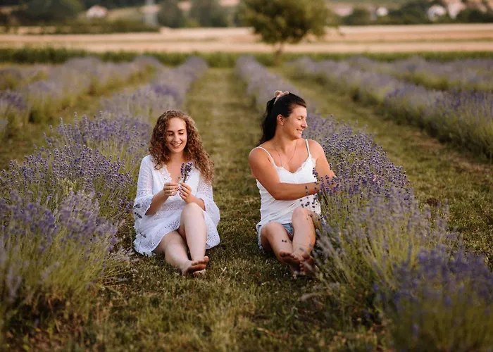 Lavender Farm Zaric *