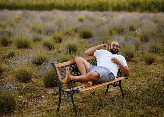 Bed & Breakfast Lavender Farm Zaric *