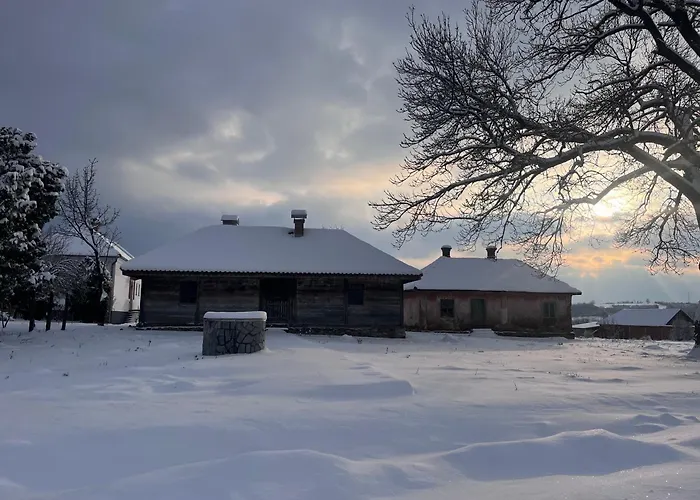 Bed & Breakfast Lavender Farm Zaric Porosanica