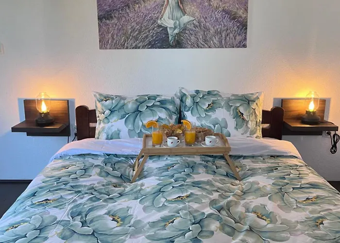 Lavender Farm Zaric * Porosanica