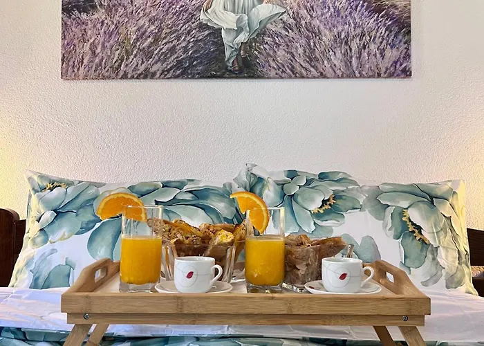 Lavender Farm Zaric Porosanica